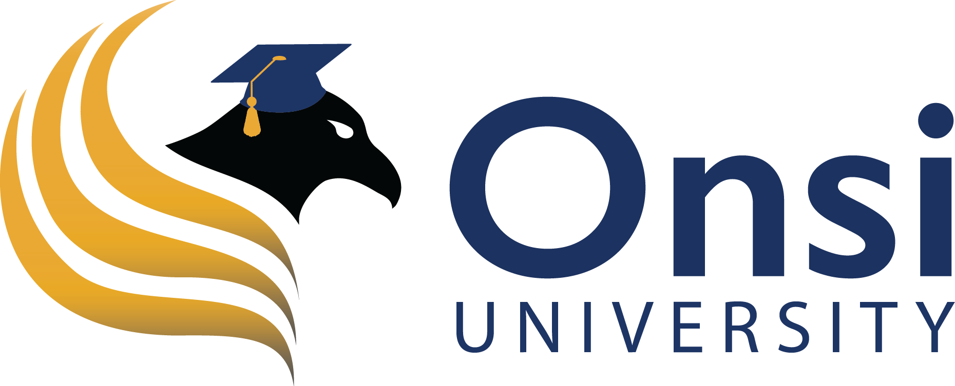 Onsi University_Secondary.Color
